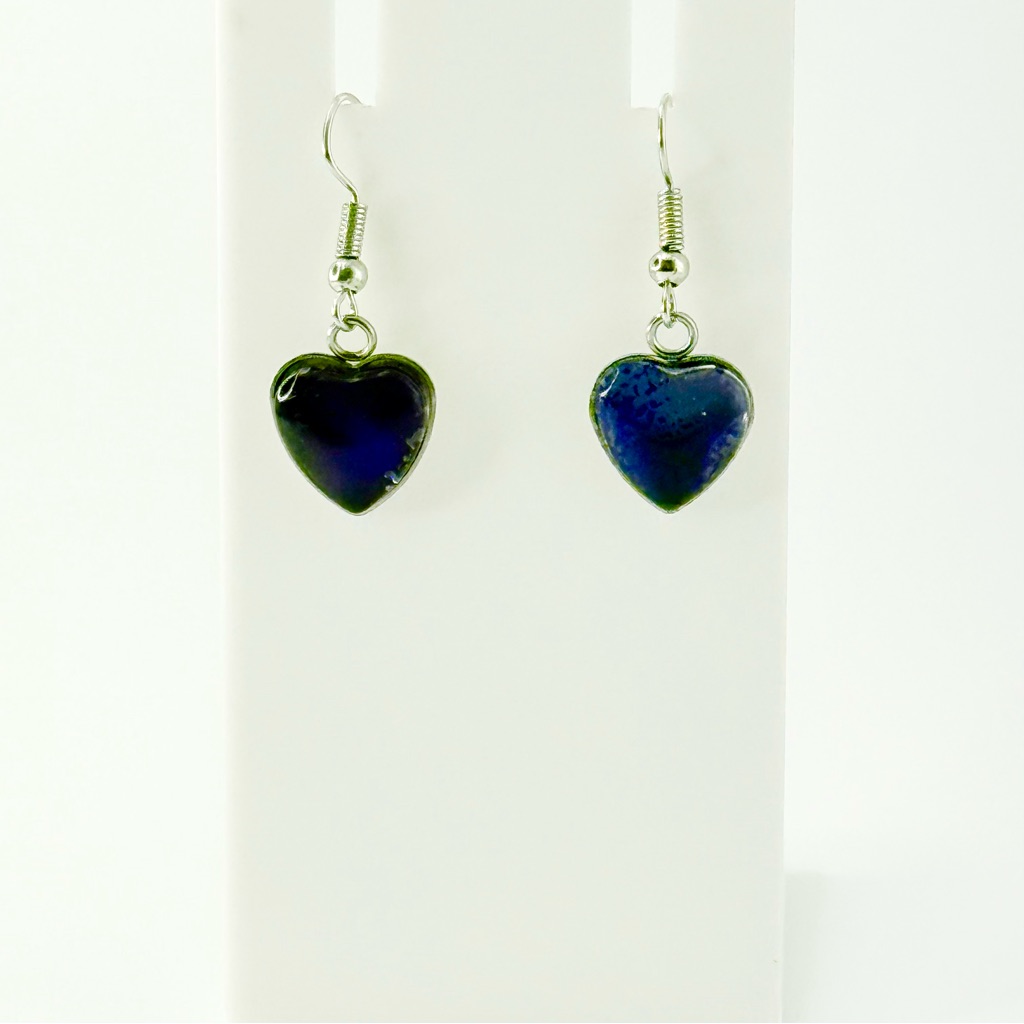 Chic Midnight Blue Heart Earrings 20$